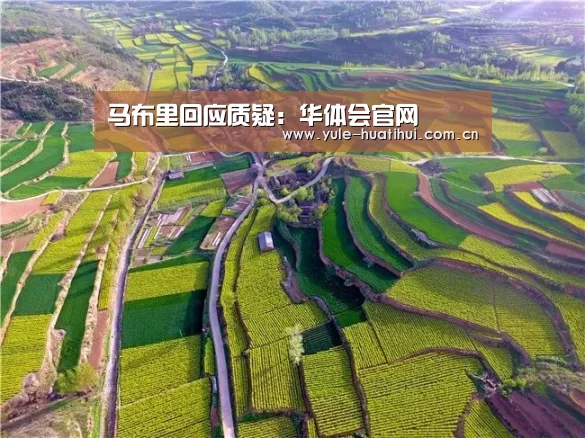 华体会