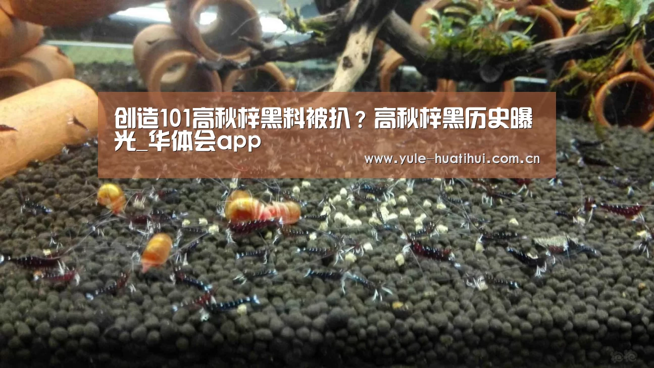 创造101高秋梓黑料被扒？高秋梓黑历史曝光_华体会app(图1)
